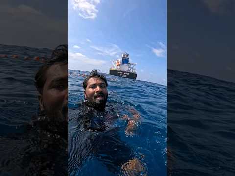 கருகடல் அடியில் எப்படி இருக்கு பாருங்க