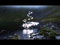 Musical Video Structure and Themes