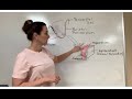 Heart Anatomy and Function Questions
