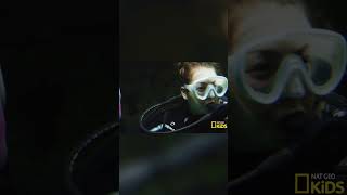 POV: sam sees a green moray eel!