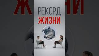 Рекорд жизни на земле #рекорд #продолжительность #моря