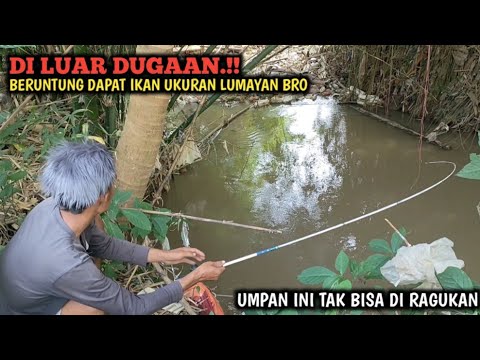 YA AMPUN.!! MANCING DI BAWAH AIR TERJUN IKANNYA GANAS² || UKURANNYA TERGOLONG LUMAYAN BRO