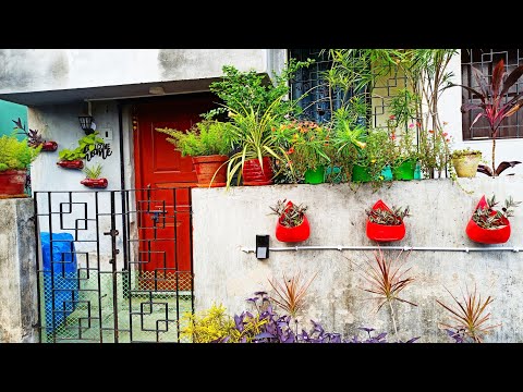 My Front Garden & Road Side Garden / Mousumi Mondal Garden /#frontgarden #bottlegarden#container ...