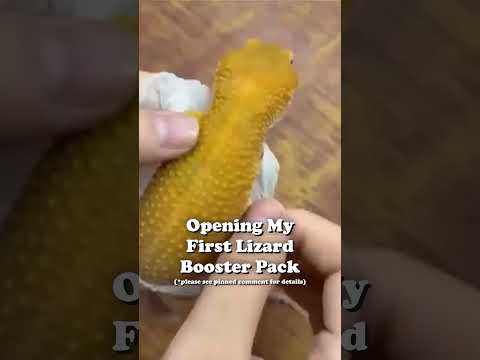 Opening Lizard Booster Packs