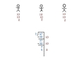 Partial Quotient Division Concepts