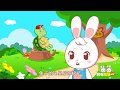Lessons from the Tortoise and Hare