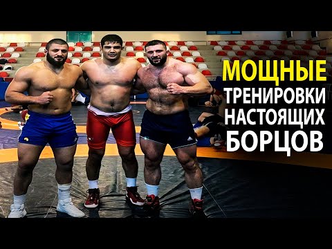 ЭТИ МОЩНЫЕ БОРЦЫ ТРЕНИРУЮТСЯ КАК СУМАСШЕДШИЕ