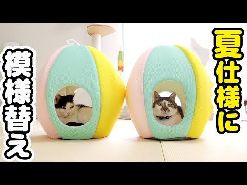【模様替え】夏用のひんやり猫グッズを出したら‥使い方が独特すぎたｗ