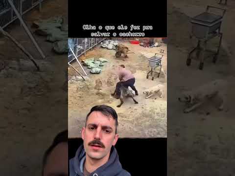 O que você acha disso?