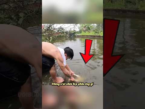 Chàng Trai Tát Cạn Ao Tìm Gà Và Cái Kết Đáng Sợ