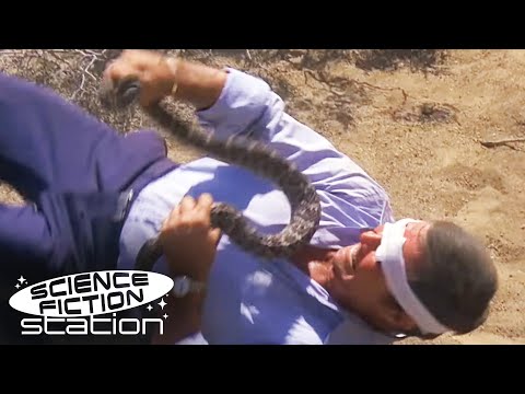 A Blinded Steve Austin Fights a Snake! | Six Million Dollar Man | Science Fiction Station