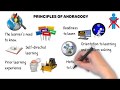 Adult Learning Principles and Motivations