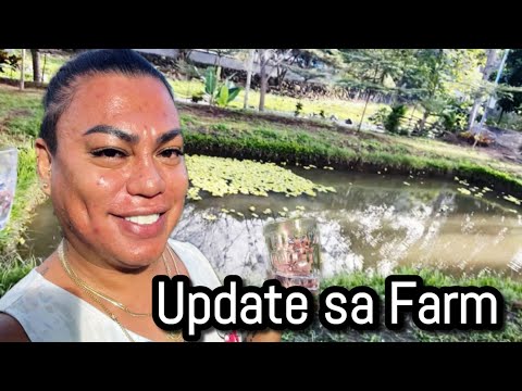 Nee project : update sa Farm.