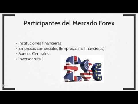 Lista rankia web forex