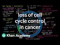 Exploring Cell Cycle Control and Cancer