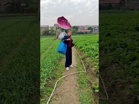 Oh my god, where is this thrown?😂😂😂🔥🔥 #RuralFunnyVideos #LaughonceAndWatch #MakeYouLaughA