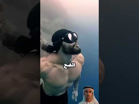 لماذا تأتي الأسماك لتأكل البيض؟