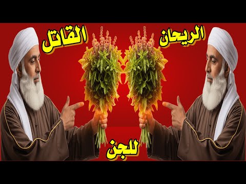 الريحان قاهر الجن الريحان والشيطان طردالجن بالريحان الريحان والمس الريحان والسحرعلاج العين بالريحان