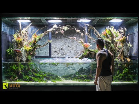 I Released NEW CREATURES Into My Giant Tropical Wetlands Vivarium