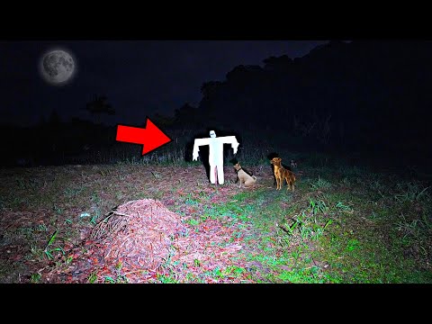 OS CACHORROS DA FAZENDA NOS LEVARAM ATÉ O DO ESPANTALHO!