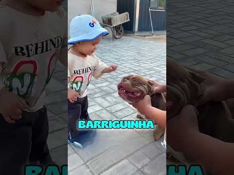 A escolha que mudou sua vida 🐕