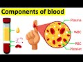 Understanding Blood and Its Components