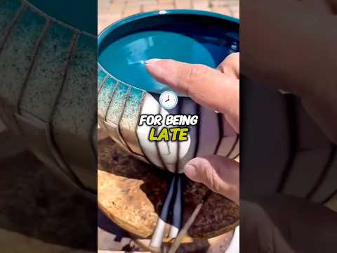 ⁠Bro Got Outsmarted  @Chanslaw  #satisfying #funny #shorts