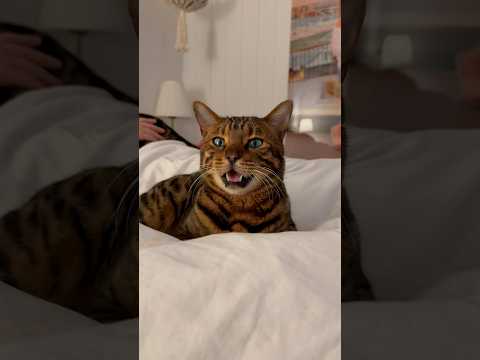 Ahhh.. schon wieder?