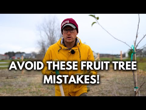 The 7 Most COMMON Costly Mistakes Beginners Make When Growing Fruit Trees!