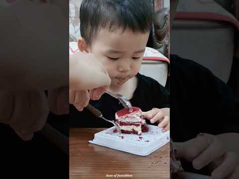 Mom and dad jokingly ate the child's entire cake #shorts #youtubeshorts