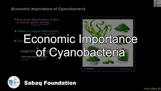 Economic Importance of Cyanobacteria