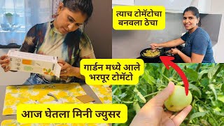 गार्डन मध्ये आले भरपूर टोमॅटो | त्याच टोमॅटोचा बनवला ठेचा | आज घेतला मिनी ज्युसर #1330