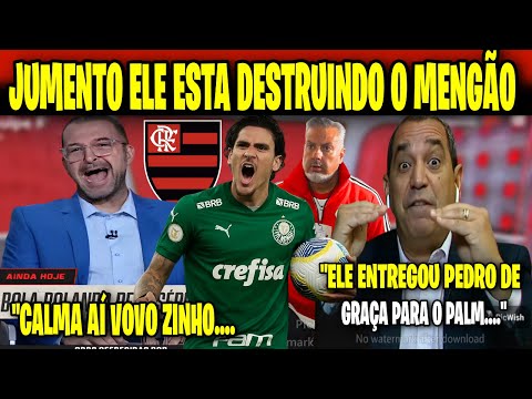 🚨ZINHO LARGOU O AÇO SOBRE O FLAMENGO! PEDRO DE SAÍDA DO MENGÃO É ABERRAÇÃO