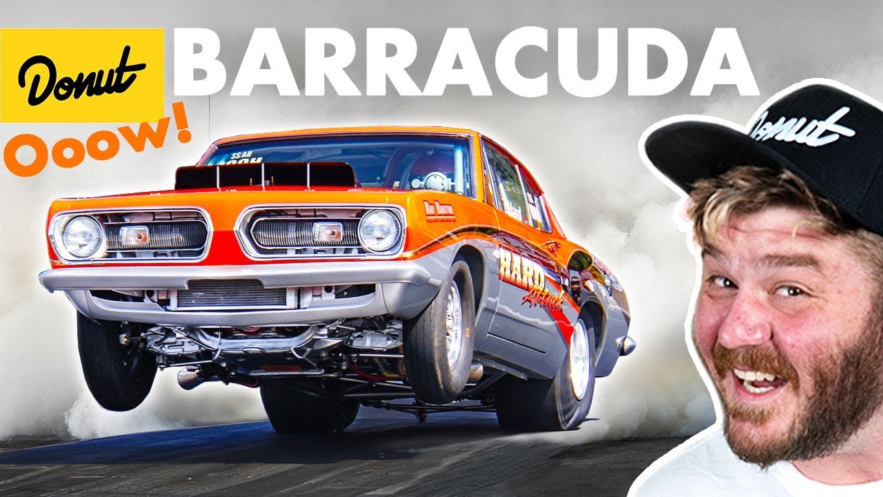 BARRACUDA - Everything You Need To Know Up To Speed