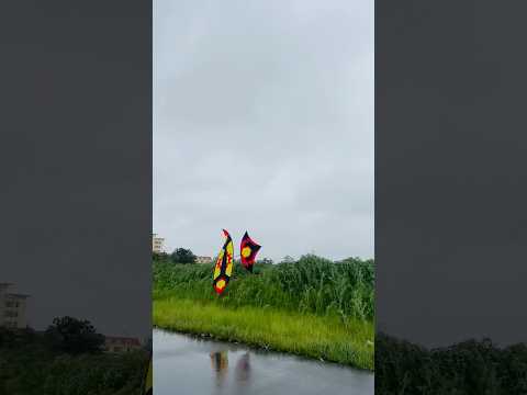 Diều sáo 5m chưa kịp bay đã bụp #kite #shorts #dieusao #patang #layangan