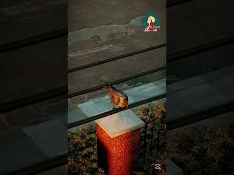 صدمة كهربائية كادت تقتلهم!!! 🤯😱