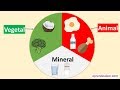 Food Origins and Classifications