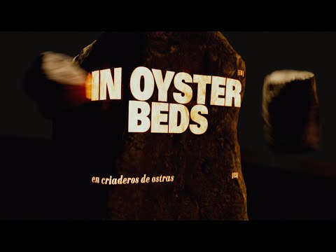 Pixies - Oyster Beds (Official Lyric Video)