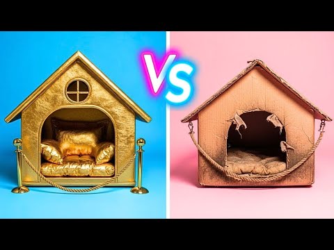 Desafio da Casa do GATO vs CÃO! 🏠✨ Construímos um quarto secreto para nossos animais de estimação