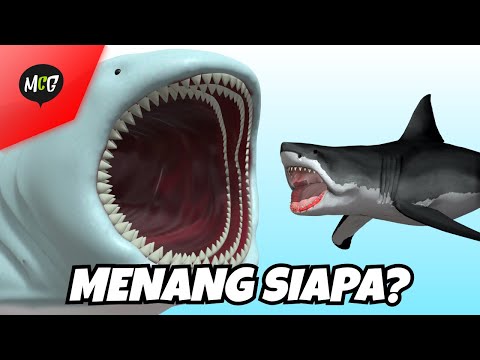 Bloop vs Megalodon, Siapa Yang Menang?
