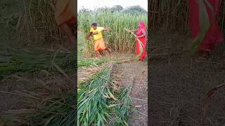 आओ आओ ले लो #shortvideo #shortsfeed #shorts #
