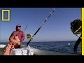 Wicked Tuna Episode Insights