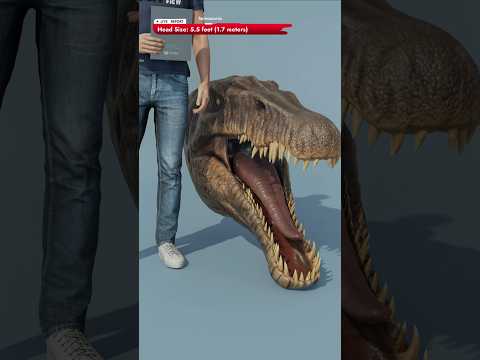 Jurassic World Rebirth | Compsognathus Head vs Distortus Rex Head