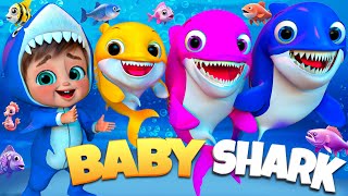 Baby Shark Adventure, Twinkle Twinkle + More ⭐🦈 | Fun Baby Songs #BabySharkDance #SingAlongSongs