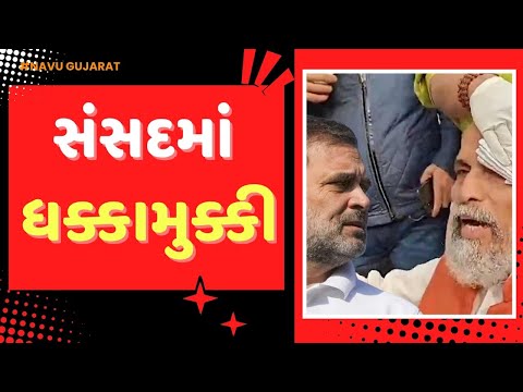 rahulgandhi| BJP| sansad |રાહુલ-પ્રિયંકા સામે સંસદમાં ધક્કામુક્કી@navugujarat0119 #news #politics