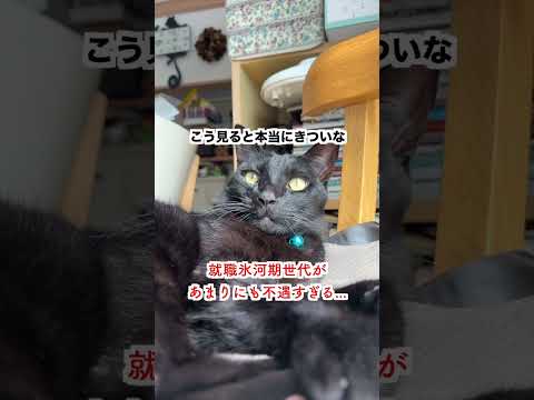 【嘆き】就職氷河期世代があまりにも不遇すぎる...「もう免税にしてくれ」