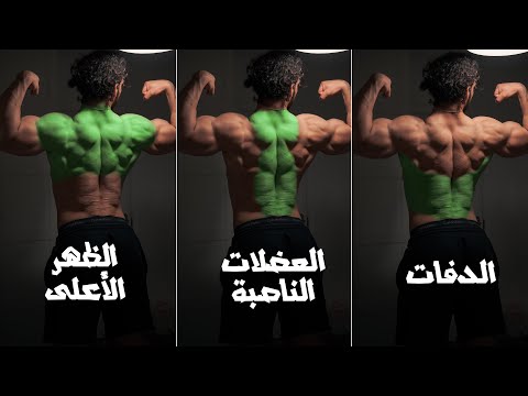 مجاميع الظهر الثلاث