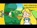 Alice's Adventures in Wonderland Questions