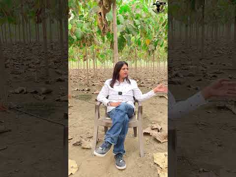 4400 Teak Plants in 8 Acre 🤔 #teakplantation #teakplants
