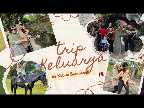 KASANG KULIM ZOO PEKANBARU #pekanbaru #kebunbinatangkasangkulim #kasangkulimzoo